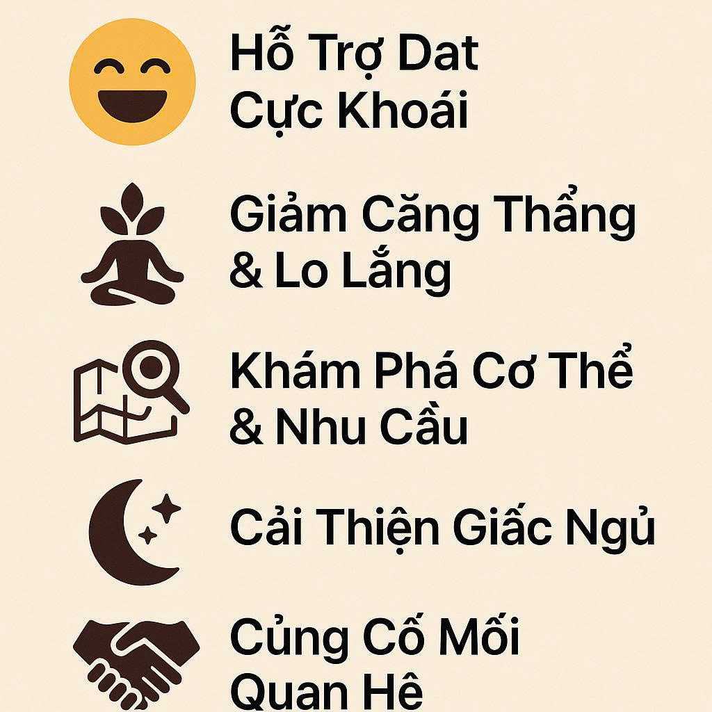 Infographic về các lợi ích của máy rung cho nữ giới: hỗ trợ cực khoái, giảm căng thẳng, khám phá cơ thể và cải thiện mối quan hệ.